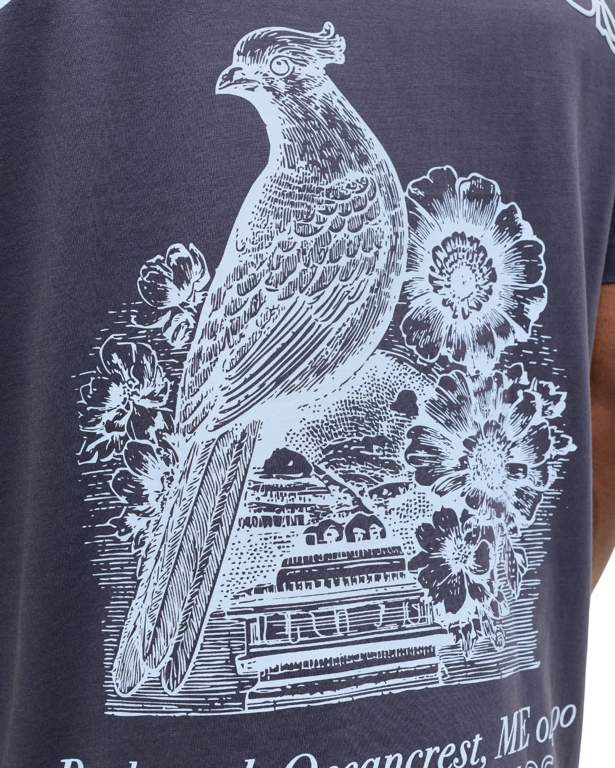Duża męska koszulka krótki rękaw t-shirt z nadrukiem na plecach Jack &amp; Jones 12299037 szaroniebieski