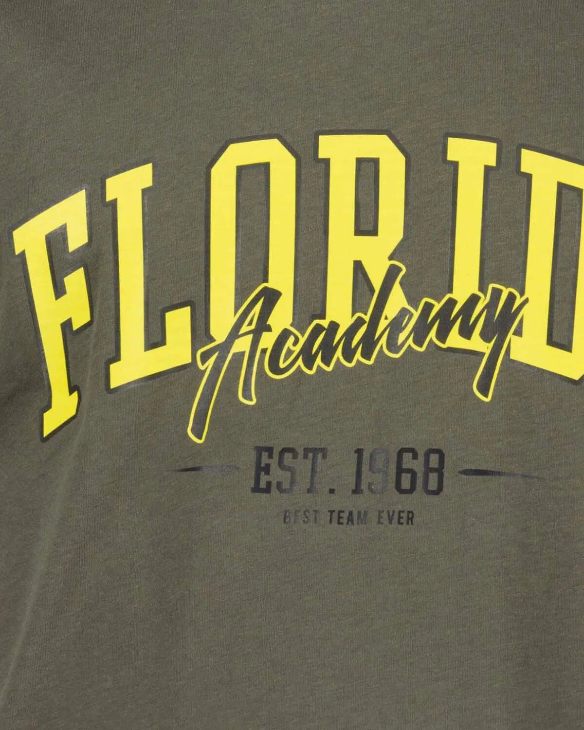 Duży męski t-shirt koszulka z nadrukiem Florida Adamo 131613-430 khaki
